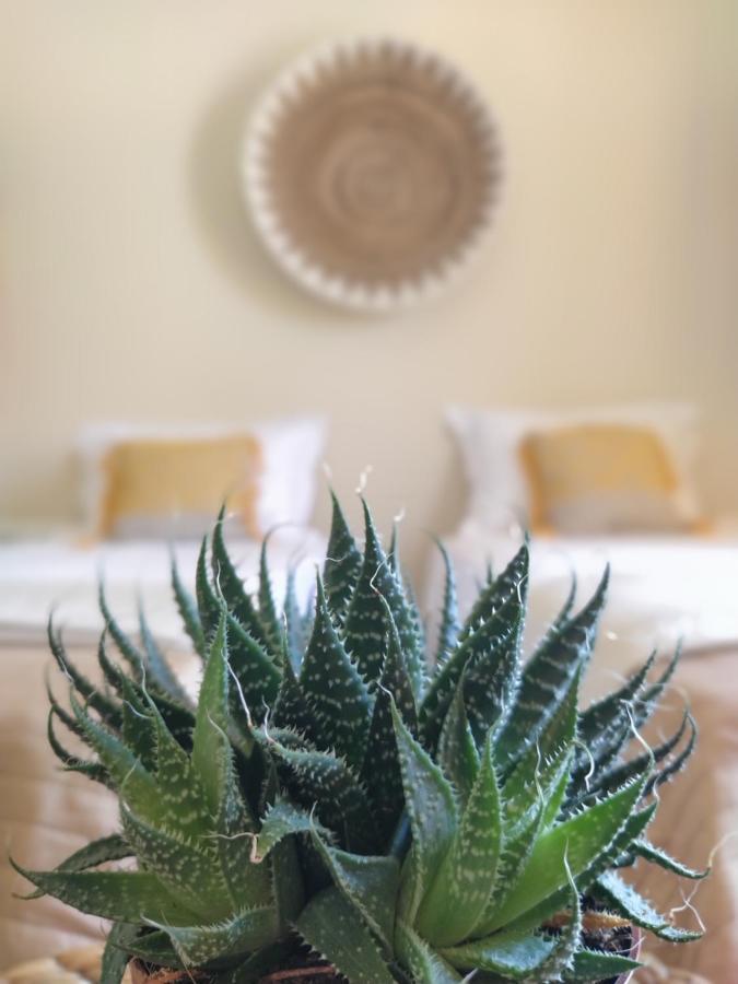 Sole Verde 아기오스 게오르기오스 외부 사진